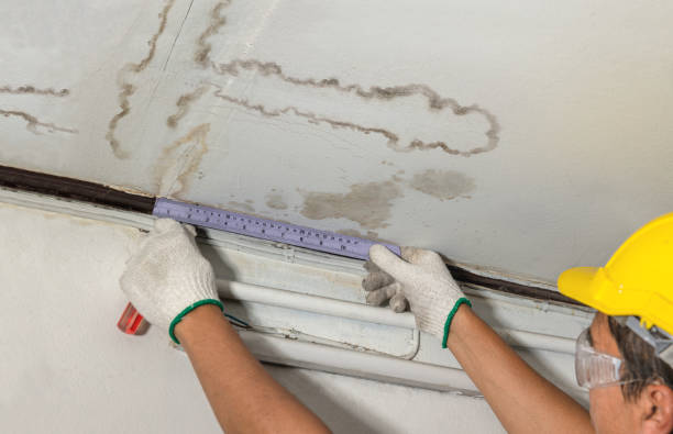 Reliable Water Damage contractor in Stanton, MI by Water Damage Irwin